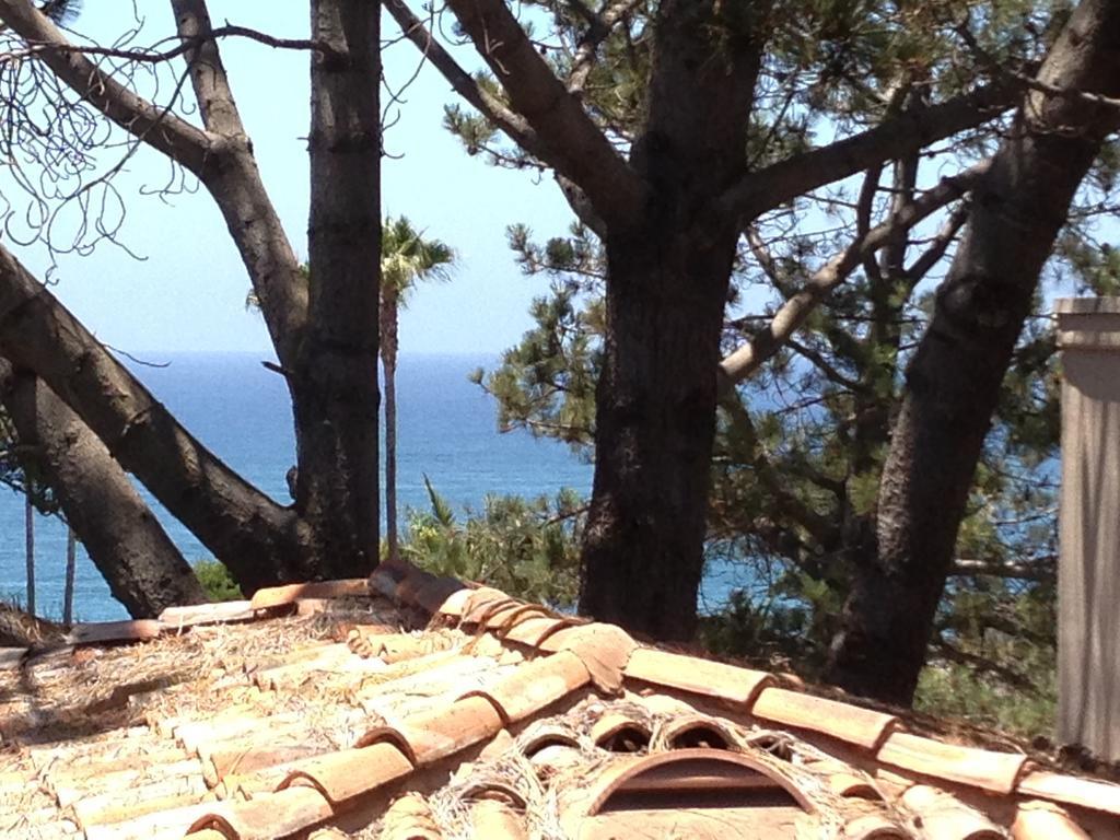 Les Artistes Inn Del Mar Room photo